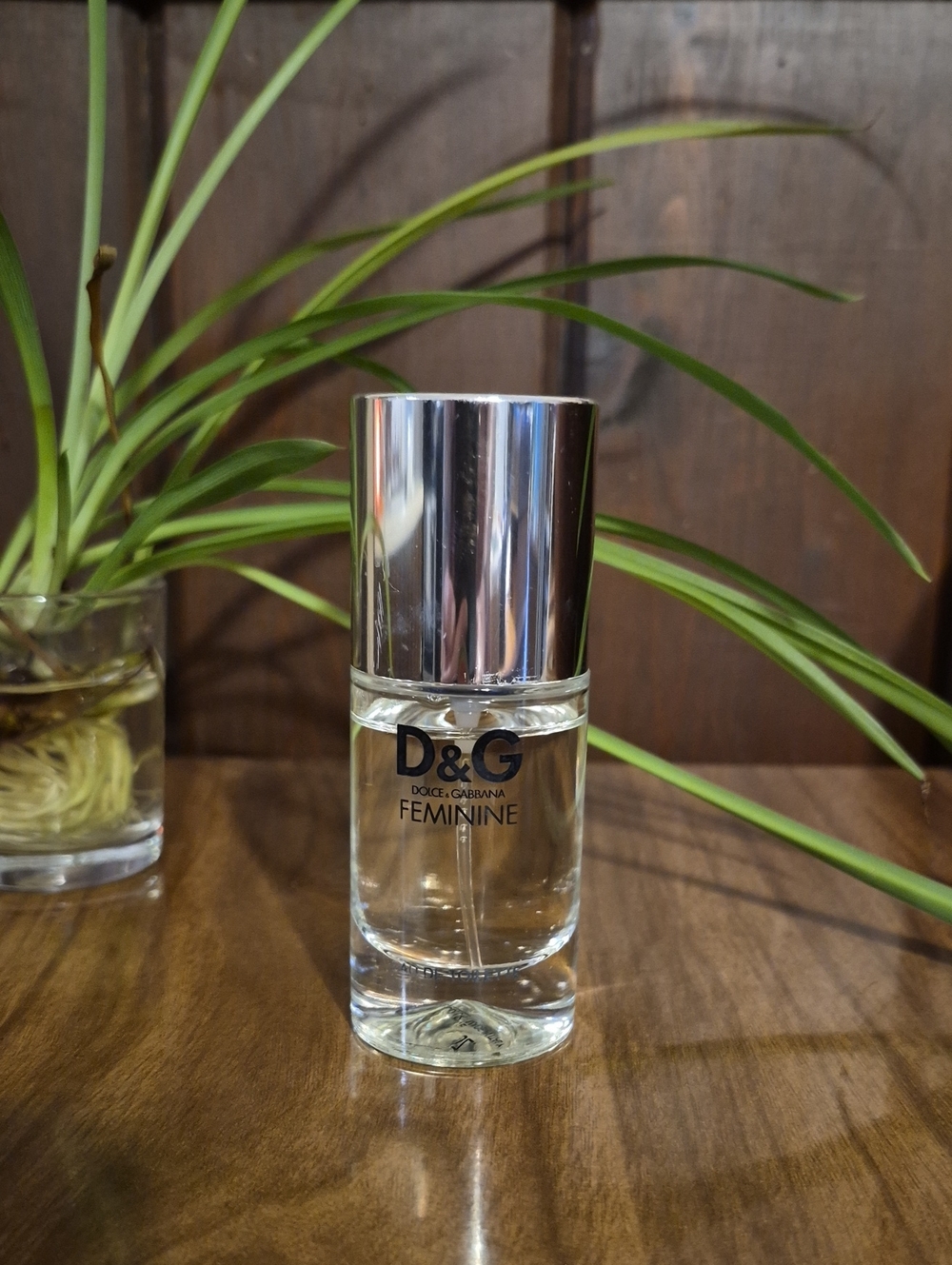 D&G Feminine